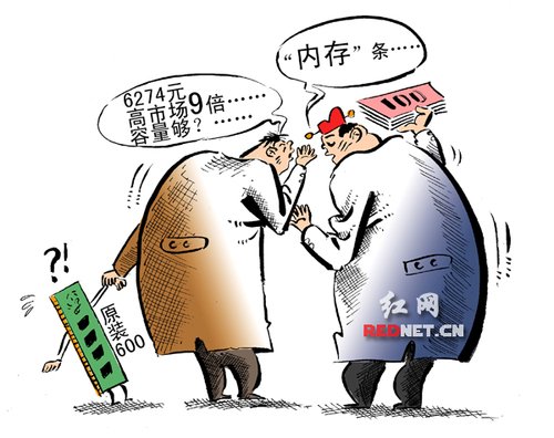 张楠之:6274元的天价内存条采购程序合法?